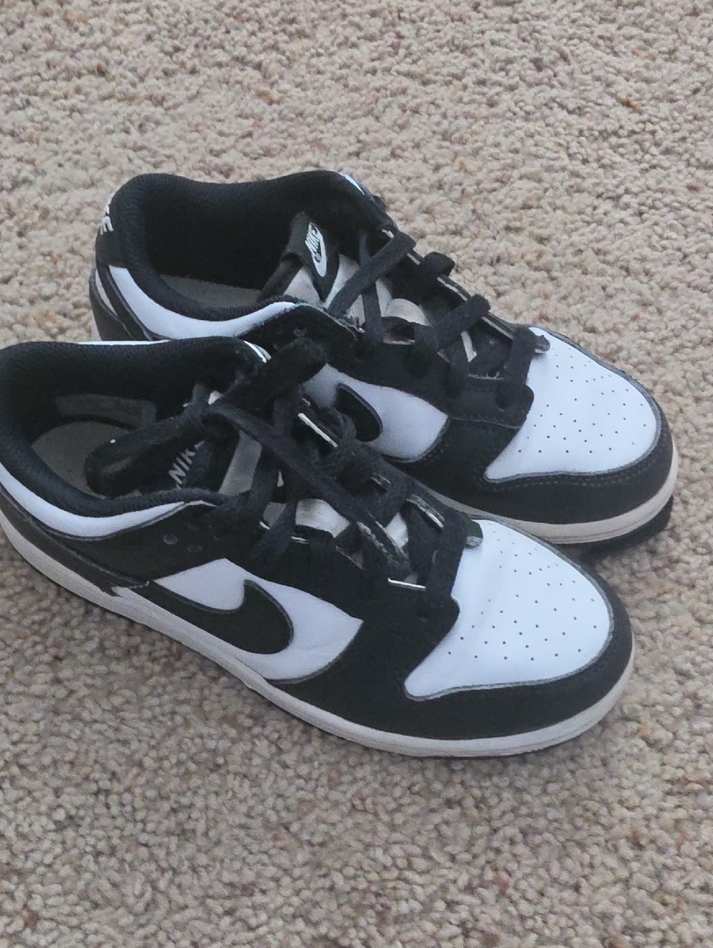 Nike Dunk Low